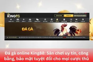 Ảnh đại diện bài viết Đá gà online King88