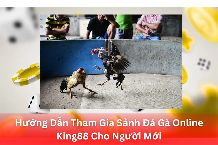 Hướng Dẫn Tham Gia Sảnh Đá Gà Online King88 Cho Người Mới