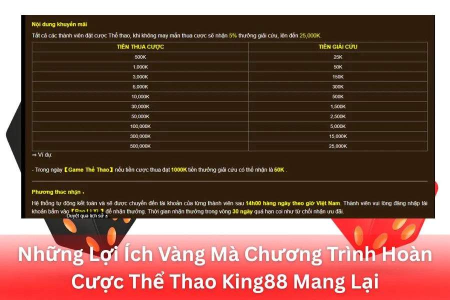 Những Lợi Ích Vàng Mà Chương Trình Hoàn Cược Thể Thao King88 Mang Lại